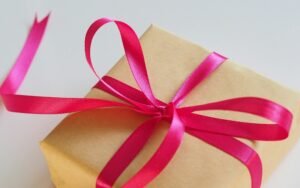 Read more about the article 25 Gift Ideas Under $100 That Look Like a Million Bucks