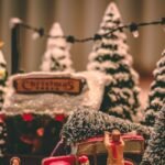 Best Family Christmas Gift Ideas​